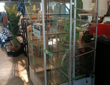 Glass display case. $200.00 final price. It retails for $2000.00